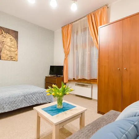 Central Krak Apartments - Studios Krakow Exterior photo